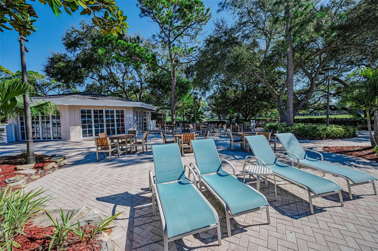 36750 US HIGHWAY 19 N, #3-209, Palm Harbor, FL 34683 36750 US HIGHWAY 19 N, #3-209, Palm Harbor, FL 34683