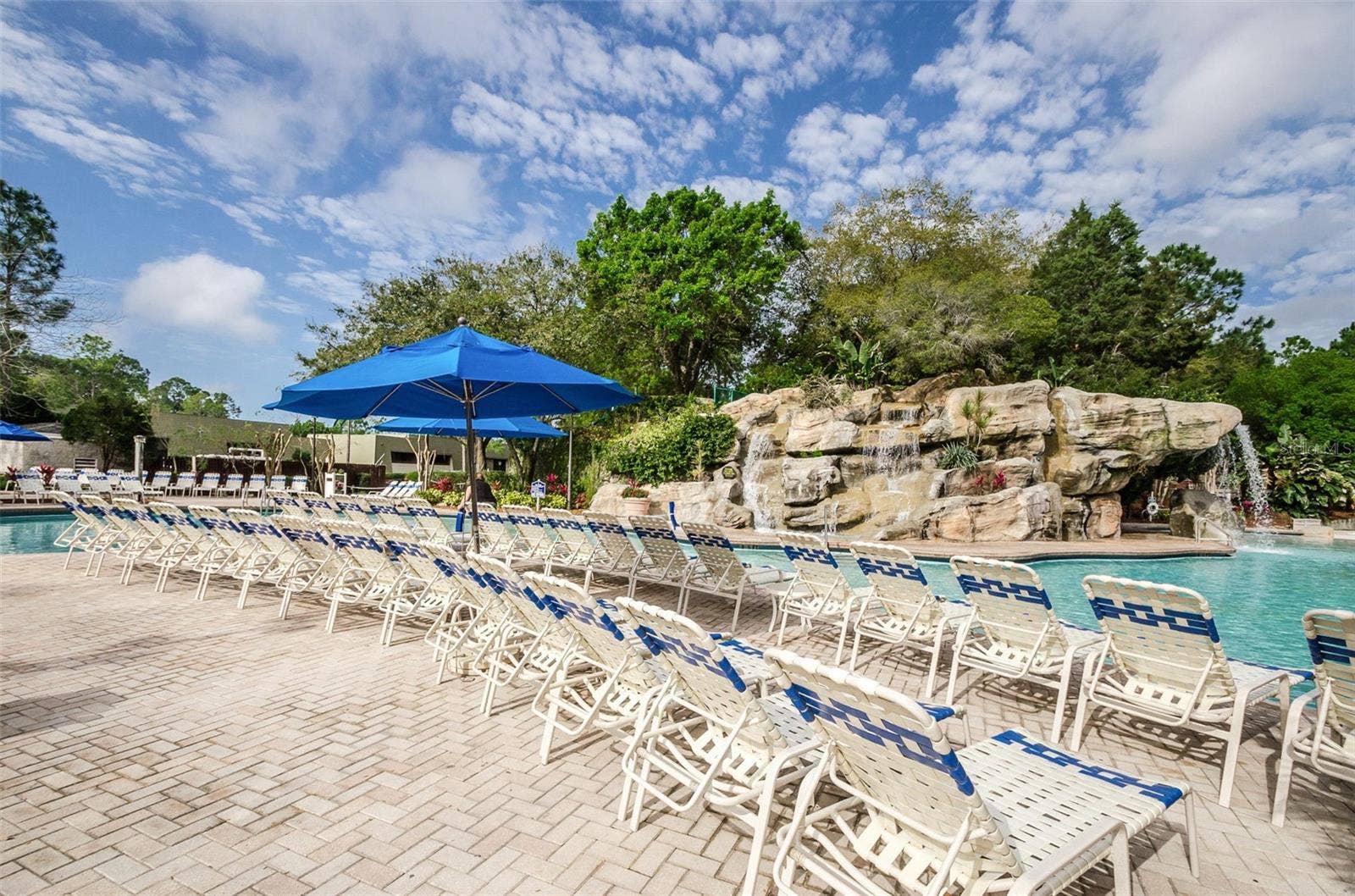 36750 US HIGHWAY 19 N, #3-209, Palm Harbor, FL 34683 36750 US HIGHWAY 19 N, #3-209, Palm Harbor, FL 34683