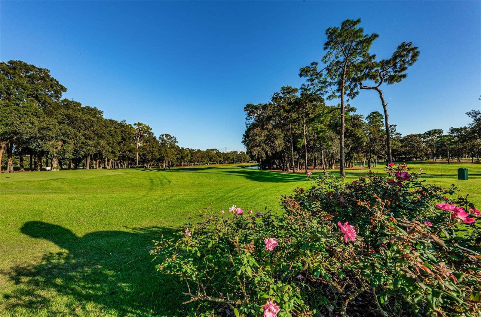 36750 US HIGHWAY 19 N, #3-209, Palm Harbor, FL 34683 36750 US HIGHWAY 19 N, #3-209, Palm Harbor, FL 34683