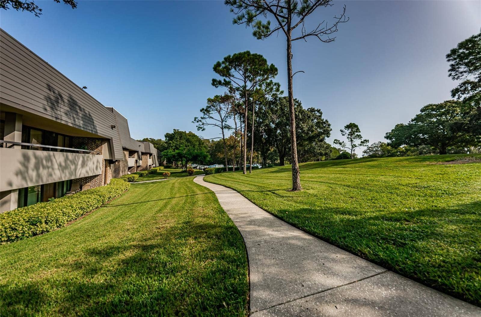 36750 US HIGHWAY 19 N, #3-209, Palm Harbor, FL 34683 36750 US HIGHWAY 19 N, #3-209, Palm Harbor, FL 34683