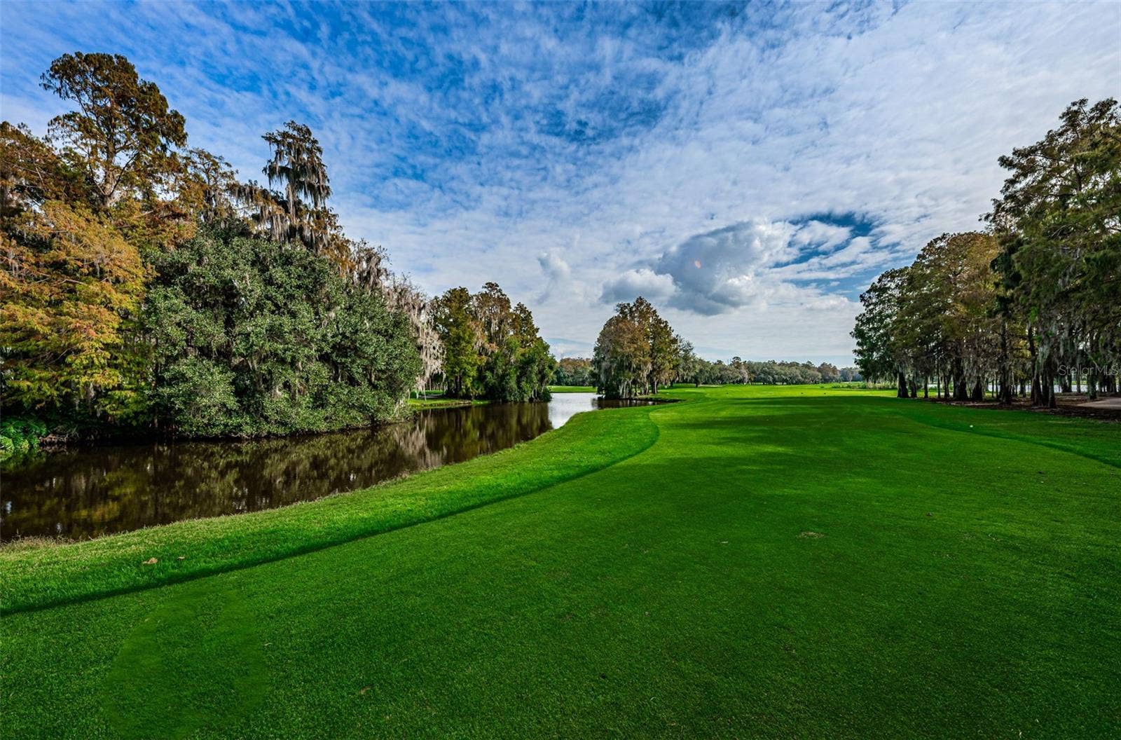 36750 US HIGHWAY 19 N, #3-209, Palm Harbor, FL 34683 36750 US HIGHWAY 19 N, #3-209, Palm Harbor, FL 34683