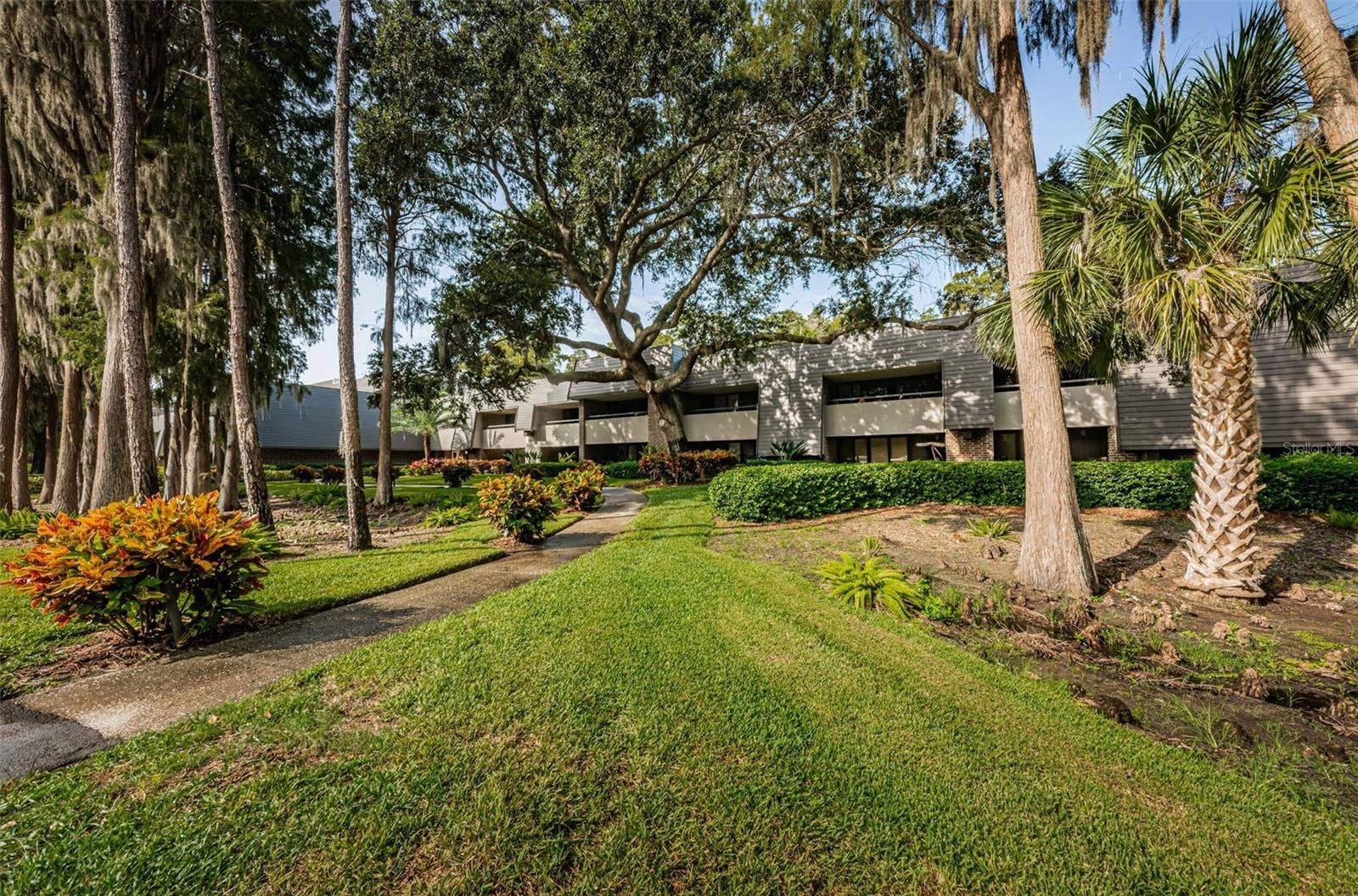 36750 US HIGHWAY 19 N, #3-209, Palm Harbor, FL 34683 36750 US HIGHWAY 19 N, #3-209, Palm Harbor, FL 34683