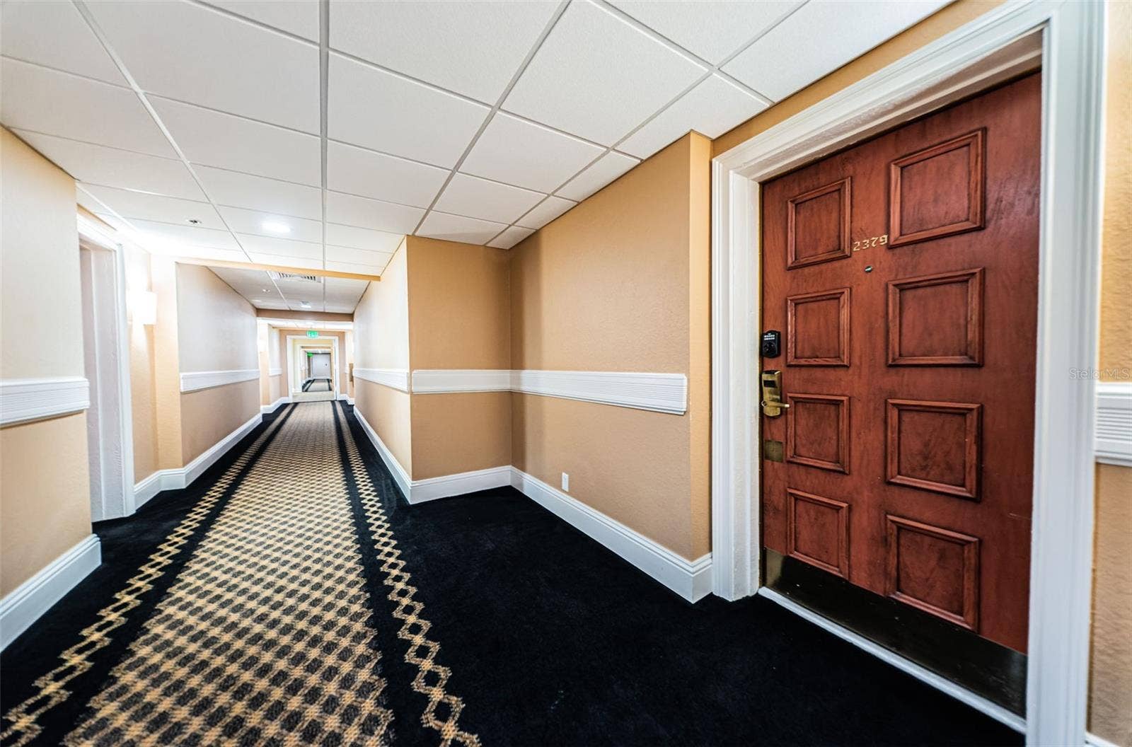 36750 US HIGHWAY 19 N, #3-209, Palm Harbor, FL 34683 36750 US HIGHWAY 19 N, #3-209, Palm Harbor, FL 34683