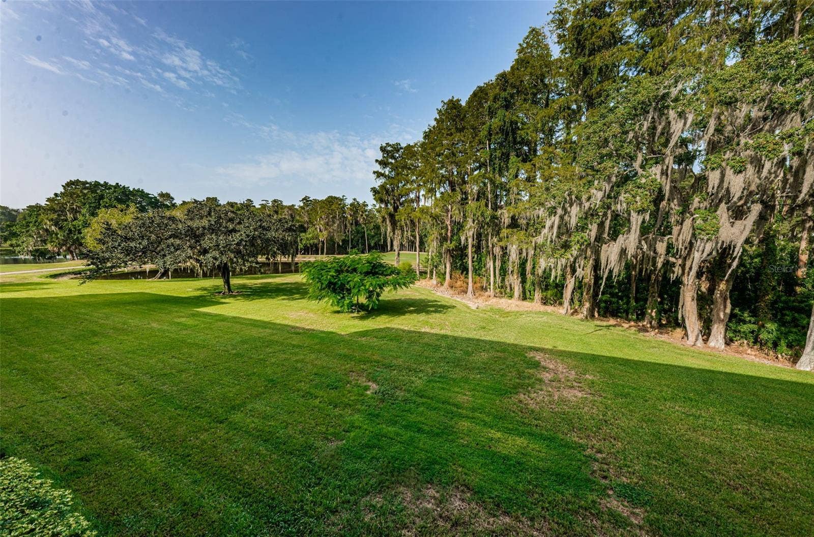 36750 US HIGHWAY 19 N, #3-209, Palm Harbor, FL 34683 36750 US HIGHWAY 19 N, #3-209, Palm Harbor, FL 34683