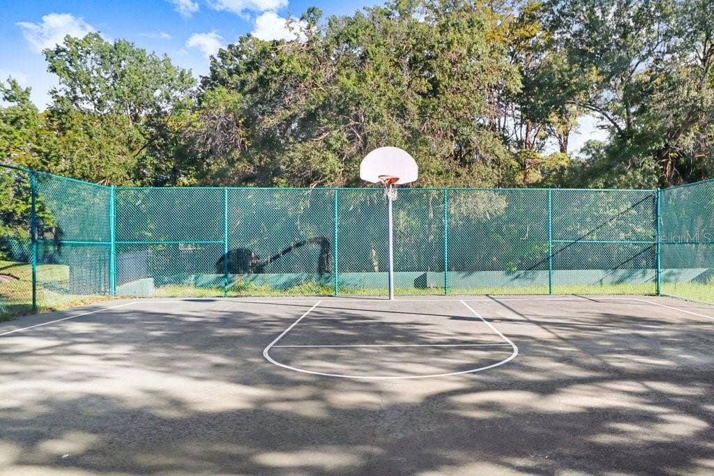 Basketball Court