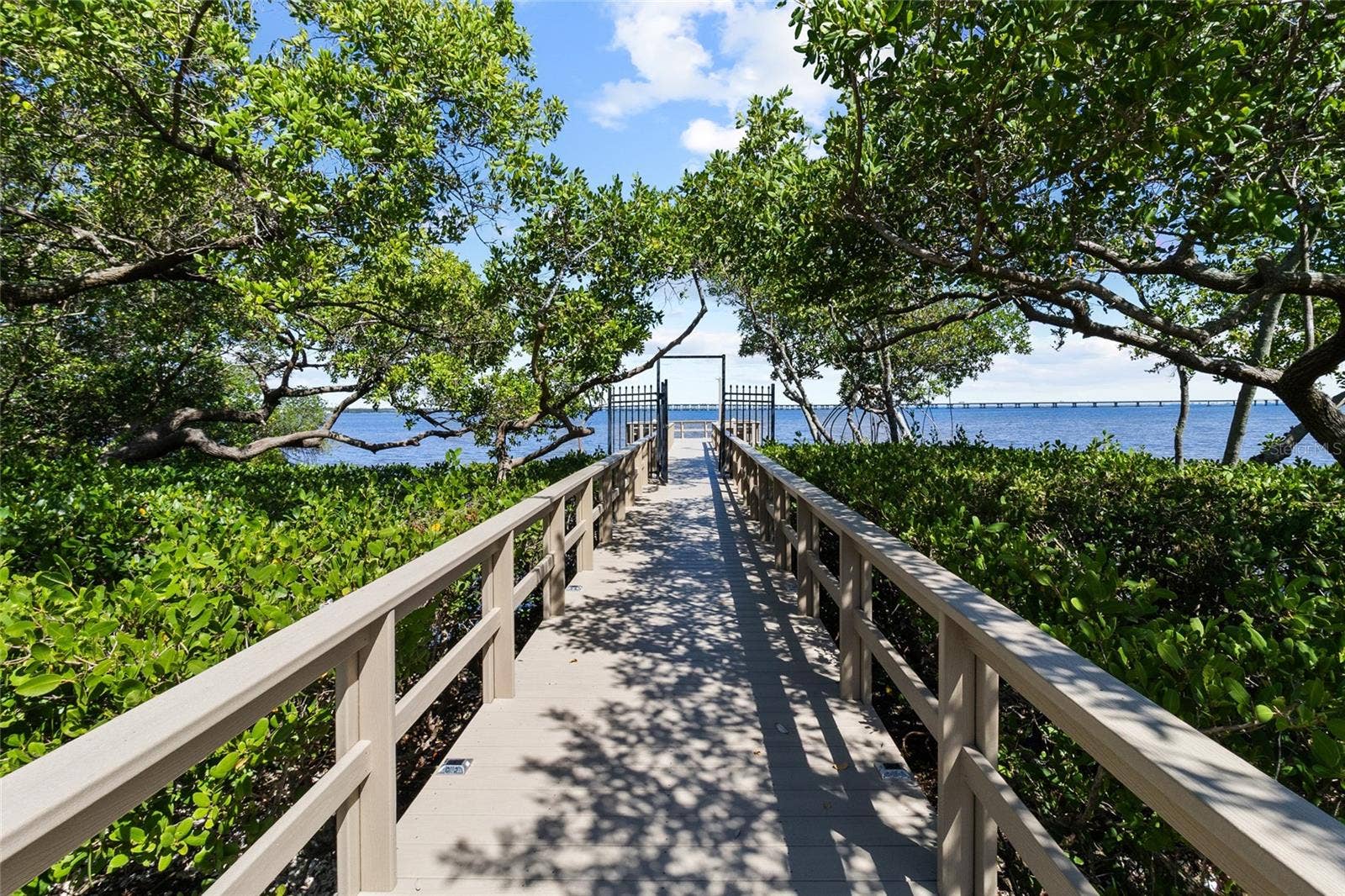 2980 HAINES BAYSHORE ROAD, #105, Clearwater, FL 33760 View walking to the private dock