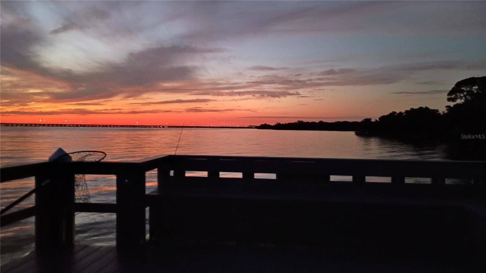 2980 HAINES BAYSHORE ROAD, #105, Clearwater, FL 33760 Sunrise from private community dock