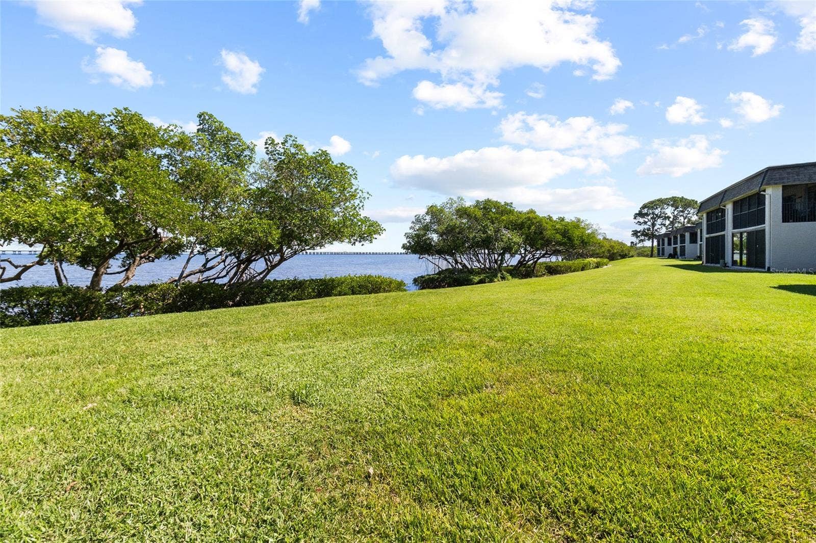 2980 HAINES BAYSHORE ROAD, #105, Clearwater, FL 33760 View of mangroves from back yard