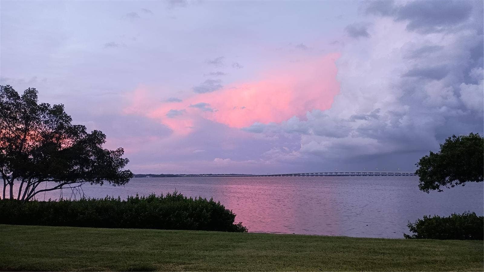 2980 HAINES BAYSHORE ROAD, #105, Clearwater, FL 33760 Back yard view