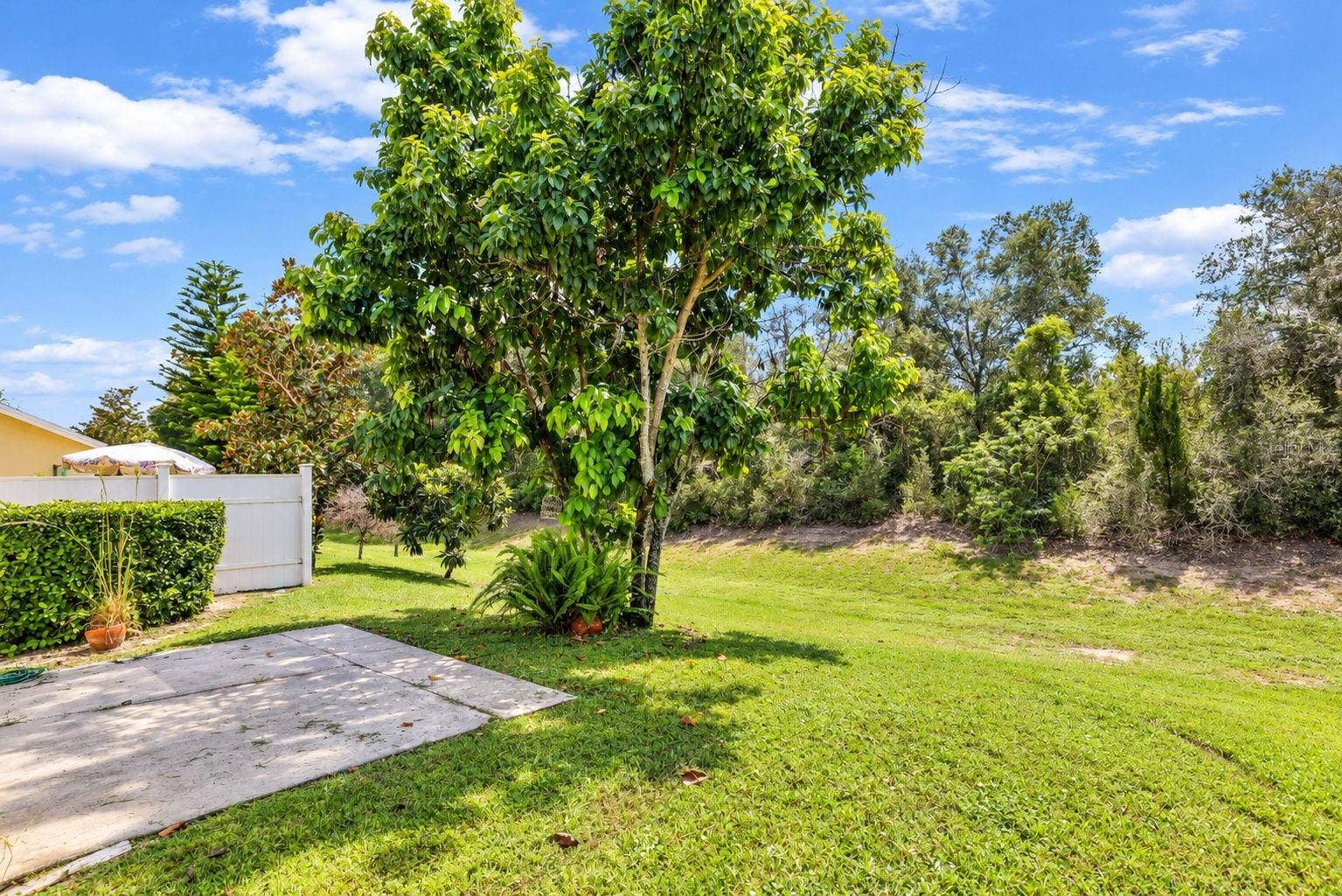 8524 CORINTHIAN WAY, New Port Richey, FL 34654 8524 CORINTHIAN WAY, New Port Richey, FL 34654