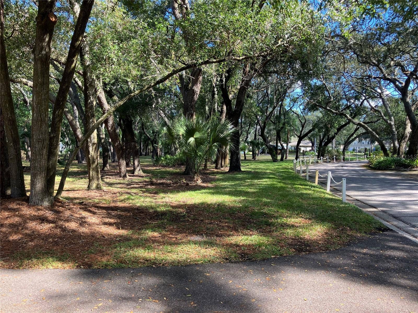 11703 RAINTREE VILLAGE BOULEVARD, #B, Temple Terrace, FL 33617 11703 RAINTREE VILLAGE BOULEVARD, #B, Temple Terrace, FL 33617