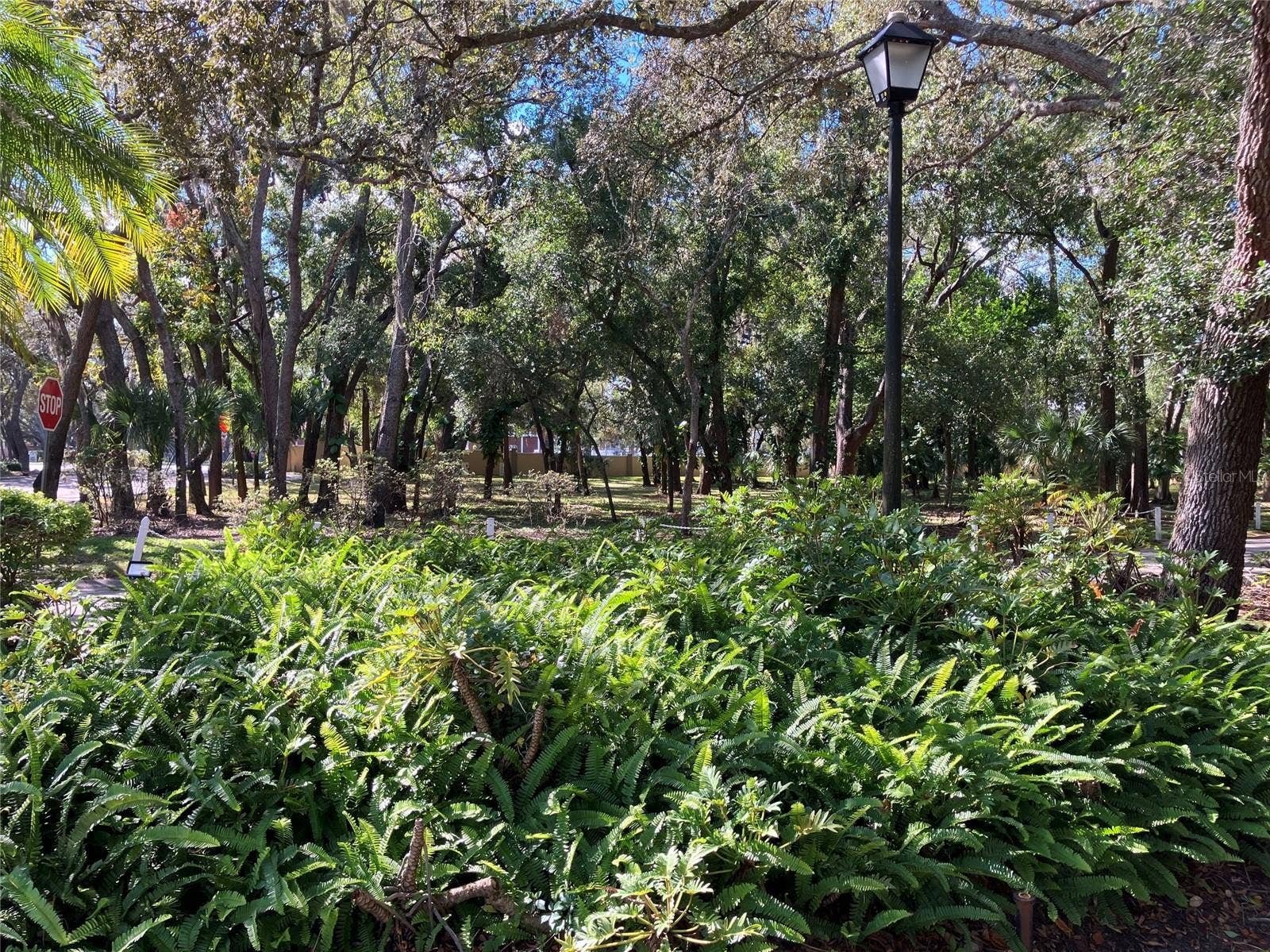11703 RAINTREE VILLAGE BOULEVARD, #B, Temple Terrace, FL 33617 11703 RAINTREE VILLAGE BOULEVARD, #B, Temple Terrace, FL 33617