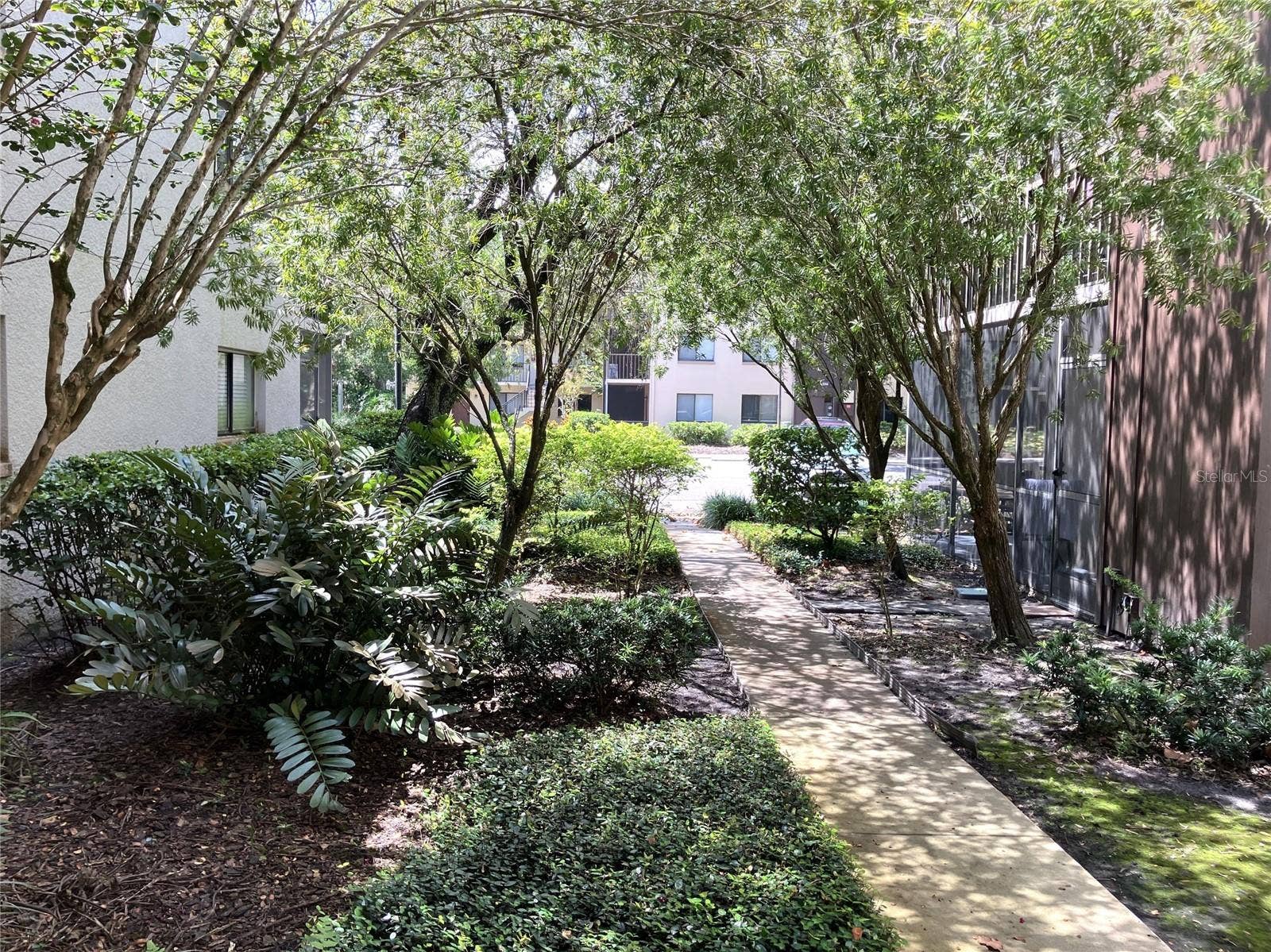 11703 RAINTREE VILLAGE BOULEVARD, #B, Temple Terrace, FL 33617 11703 RAINTREE VILLAGE BOULEVARD, #B, Temple Terrace, FL 33617