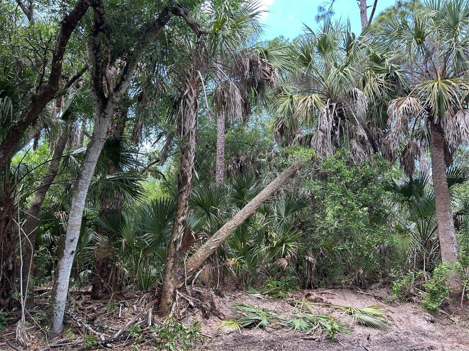 7022 RIVERSIDE DRIVE, Punta Gorda, FL 33982