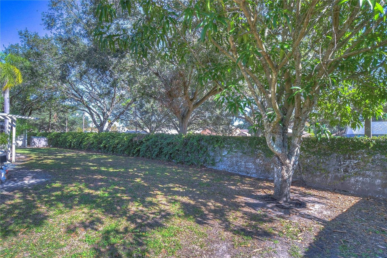 9502 SUNNYOAK DRIVE, Riverview, FL 33569