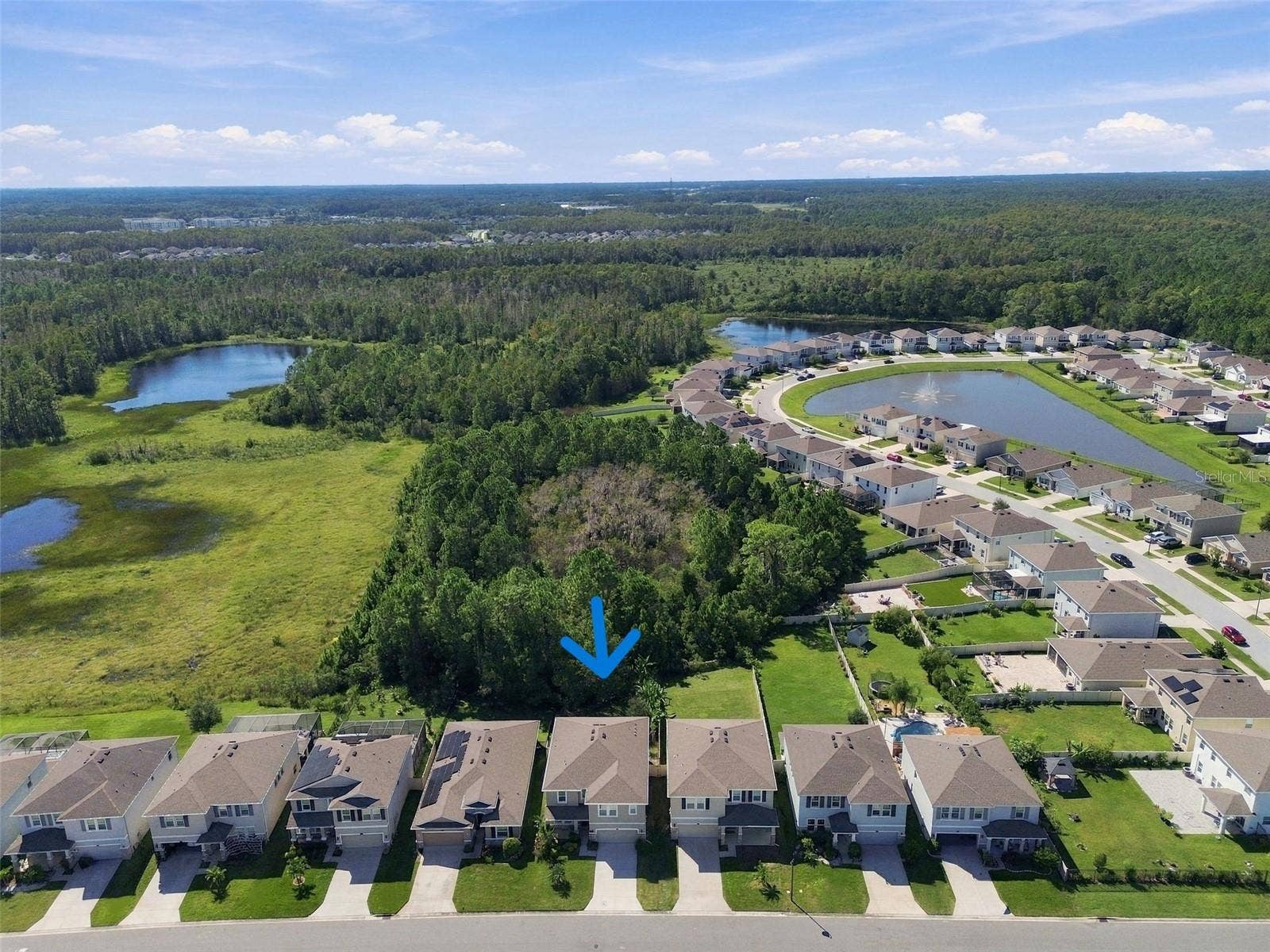 3221 LIVING CORAL DRIVE, Odessa, FL 33556