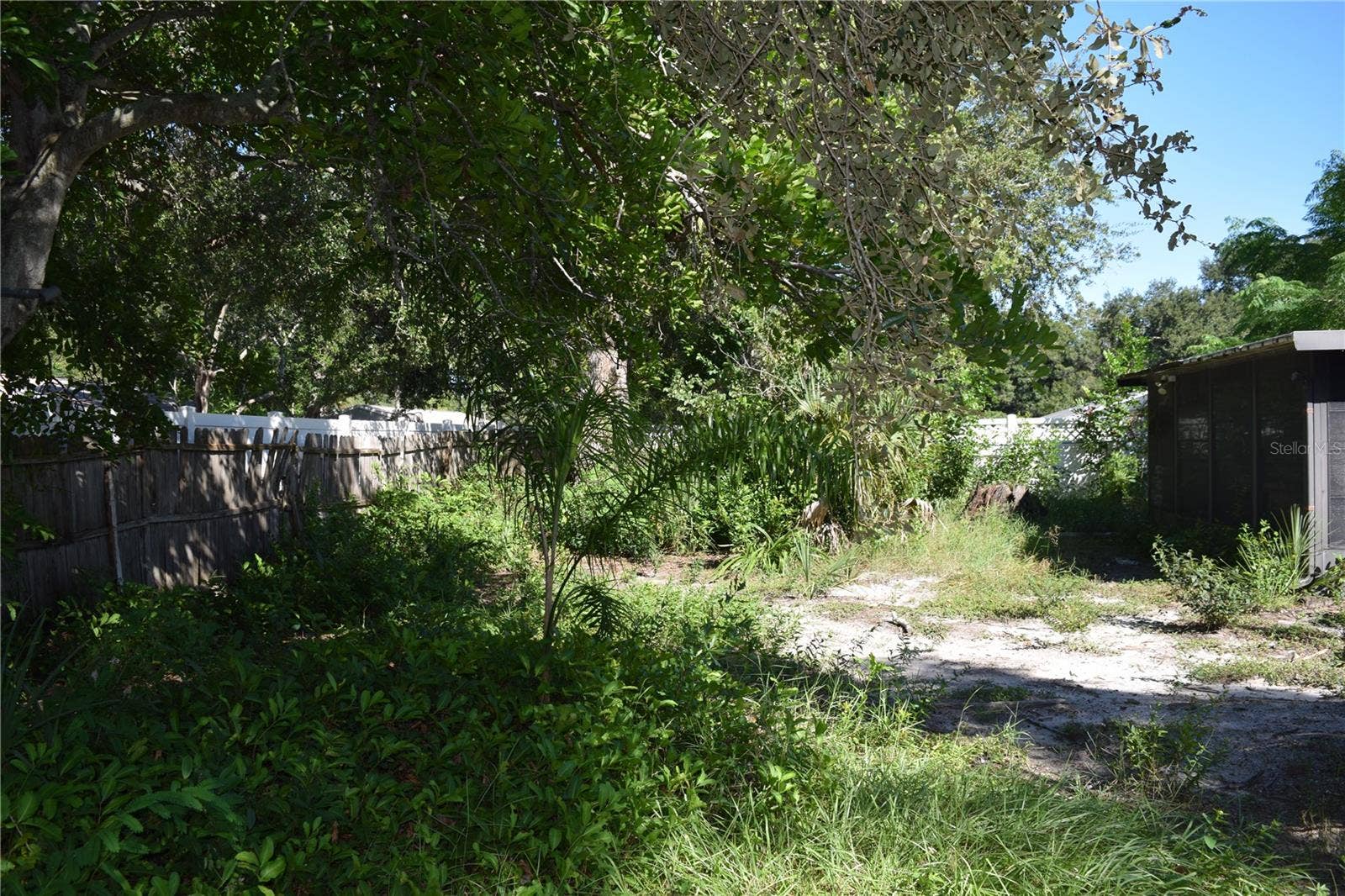 1610 AMBERLEA DRIVE N, Dunedin, FL 34698 Back yard has much potential