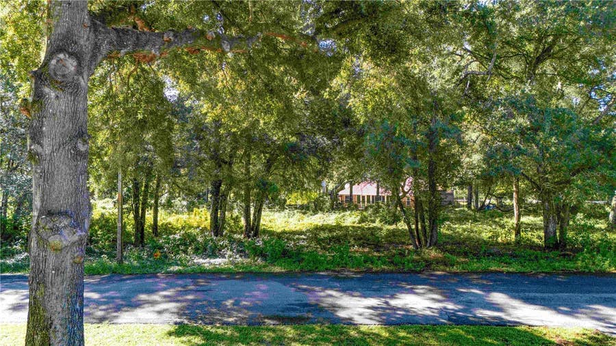 Property photo for 00 DIPLOMAT STREET, Dade City, FL