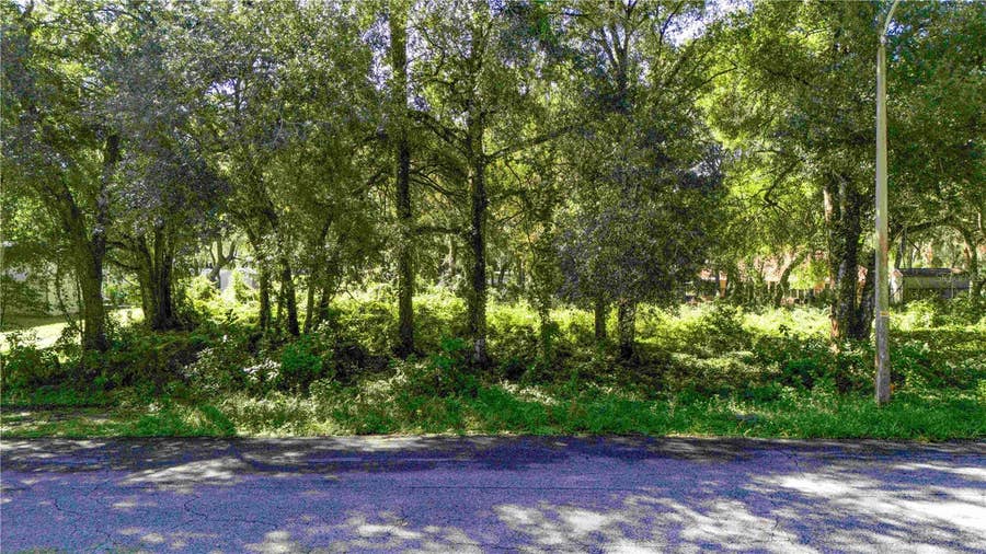 Property photo for 0 DIPLOMAT STREET, Dade City, FL