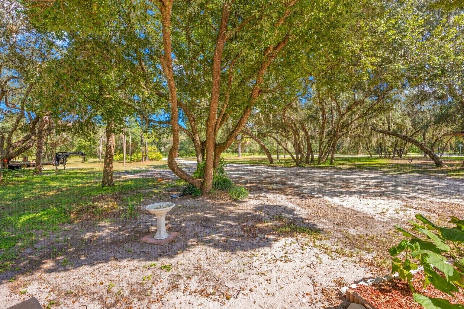 Front Yard