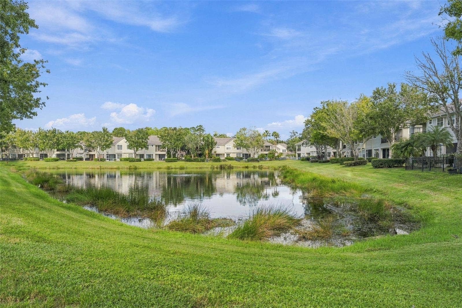 Rear Lawn View