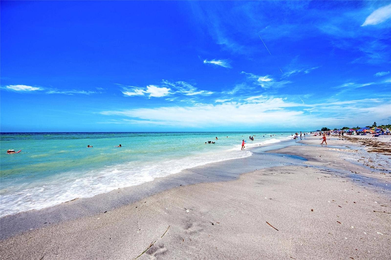 13018 BLACKBERRY COURT, #50-101, Venice, FL 34293 13018 BLACKBERRY COURT, #50-101, Venice, FL 34293