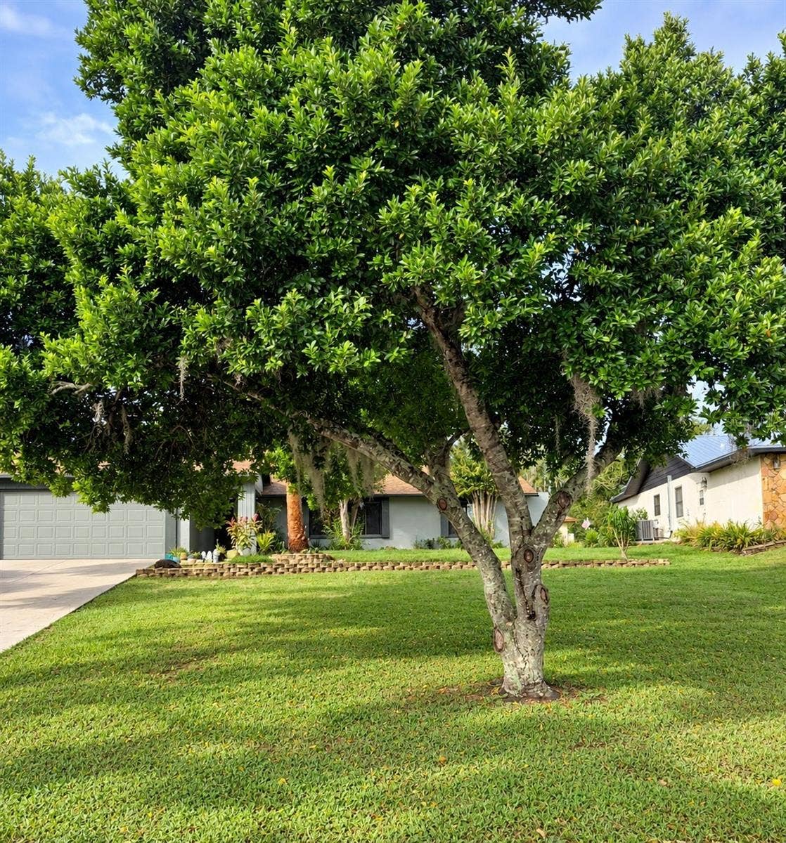 8664 HEATHER BOULEVARD, Weeki Wachee, FL 34613 8664 HEATHER BOULEVARD, Weeki Wachee, FL 34613