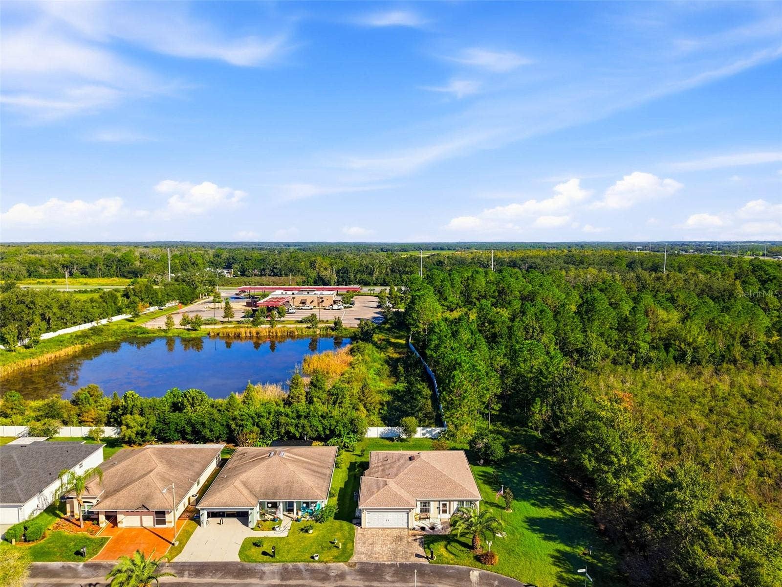 29307 KAPALUA WAY, San Antonio, FL 33576