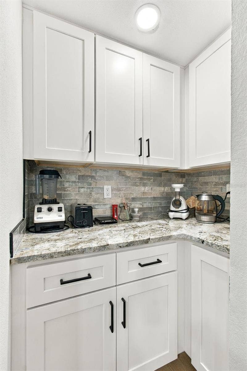 395 GEORGIA AVENUE, Crystal Beach, FL 34681 kitchen pantry