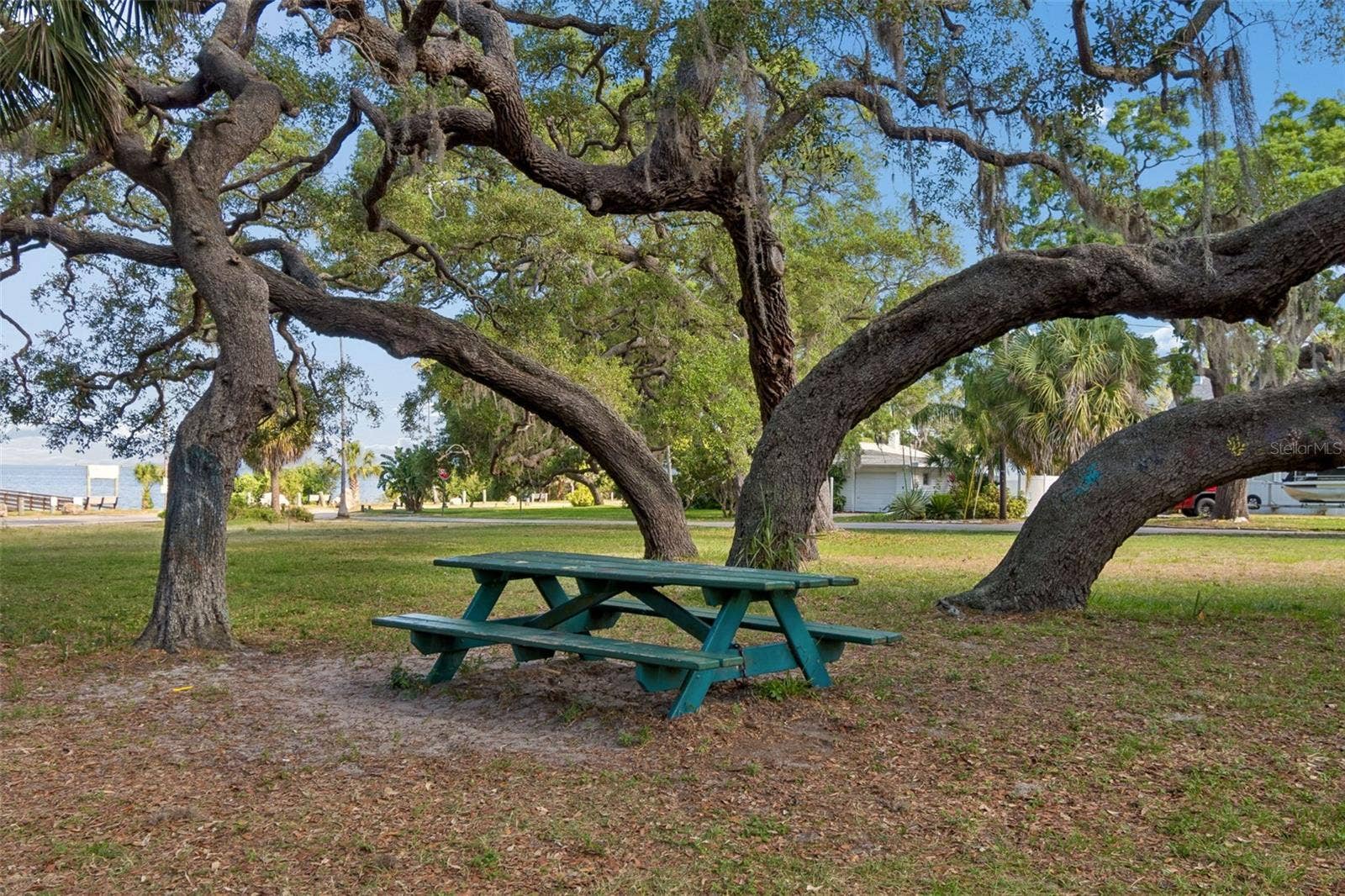 395 GEORGIA AVENUE, Crystal Beach, FL 34681 395 GEORGIA AVENUE, Crystal Beach, FL 34681