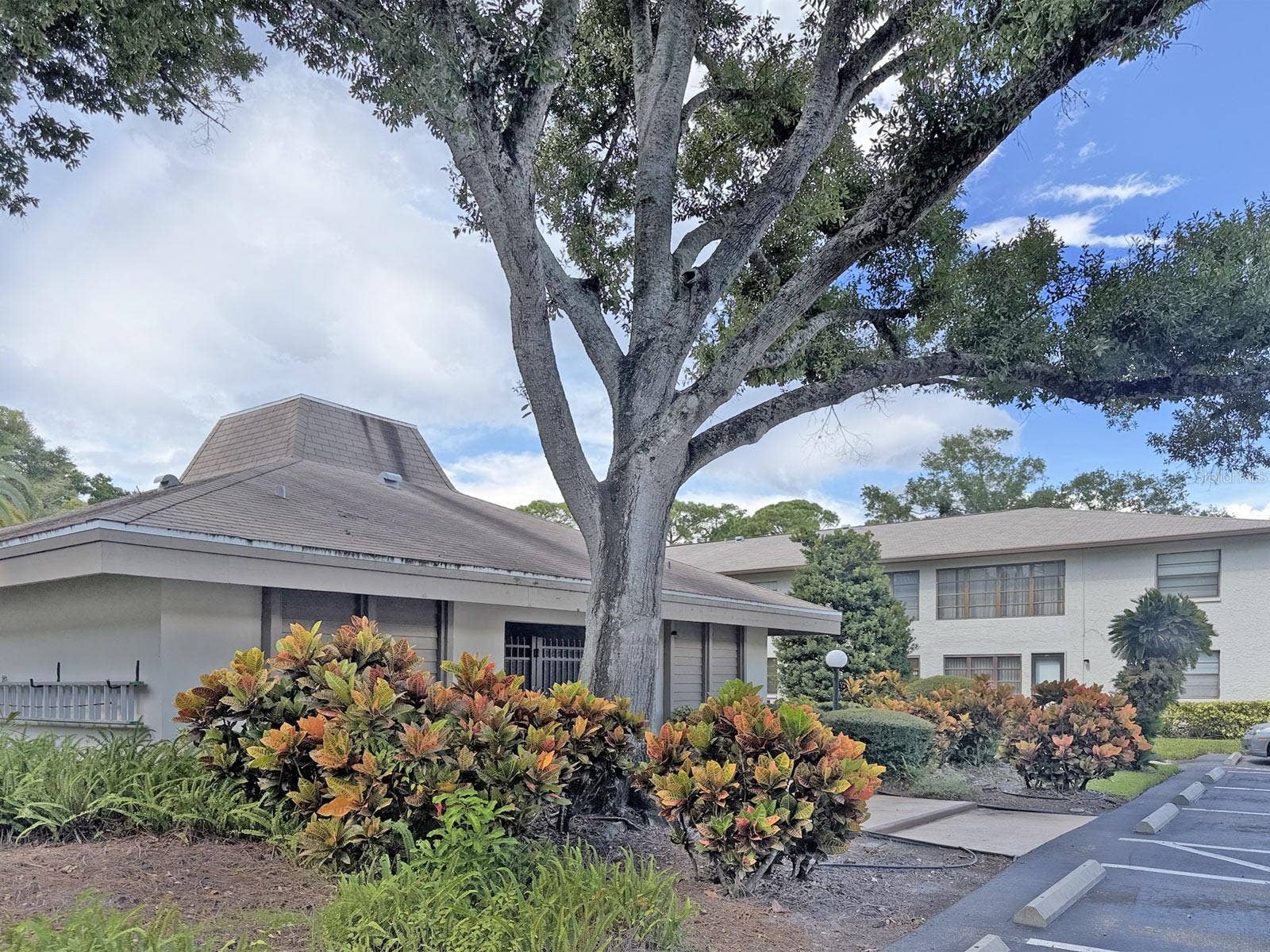 3034 EASTLAND BOULEVARD, #D202, Clearwater, FL 33761 Clubhouse / Pool