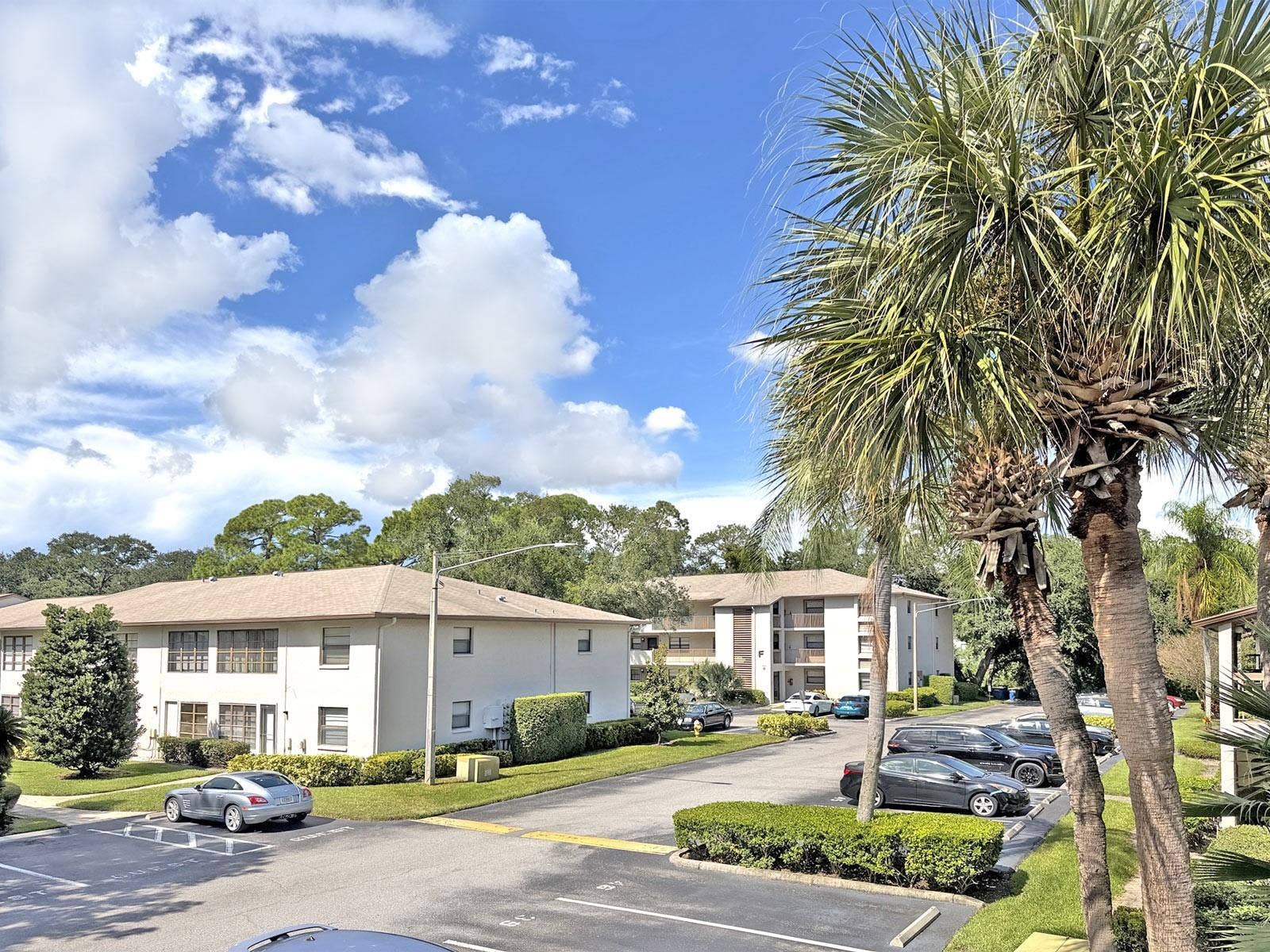 3034 EASTLAND BOULEVARD, #D202, Clearwater, FL 33761 View from the front door.