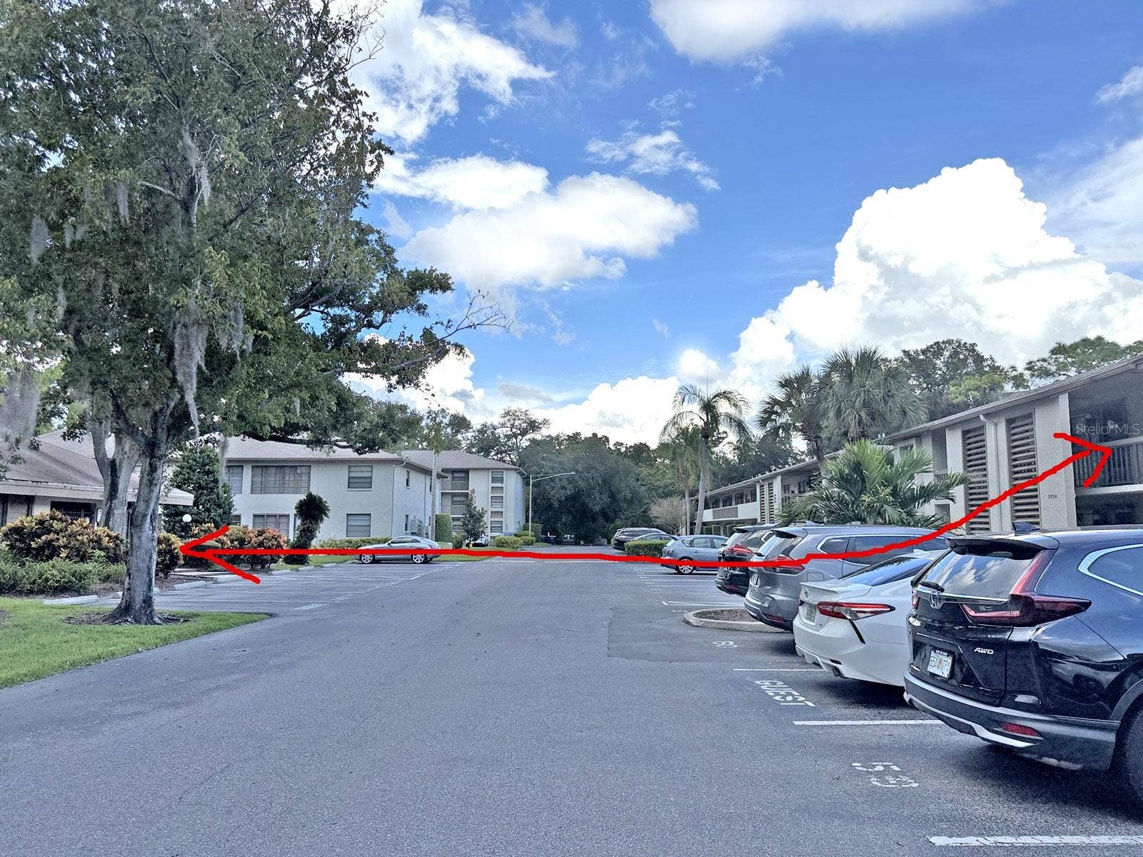 3034 EASTLAND BOULEVARD, #D202, Clearwater, FL 33761 Pool just cross the street.