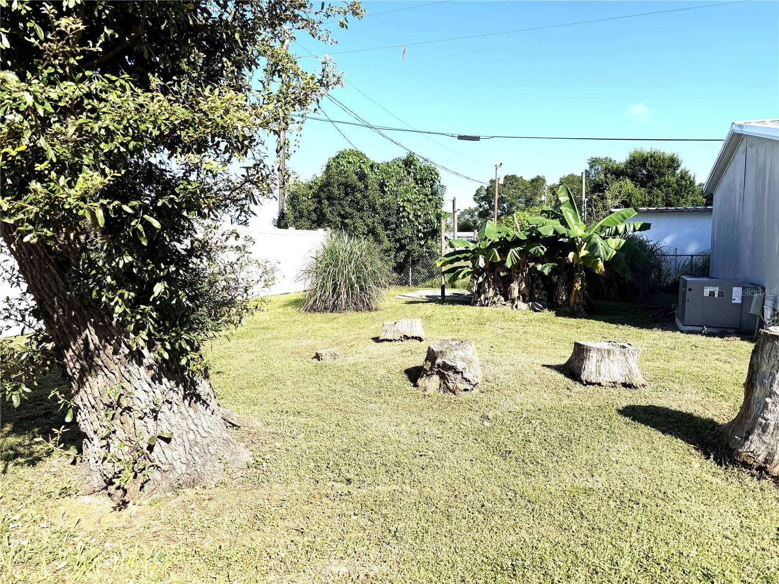 5111 HILL DRIVE, Zephyrhills, FL 33542 Backyard