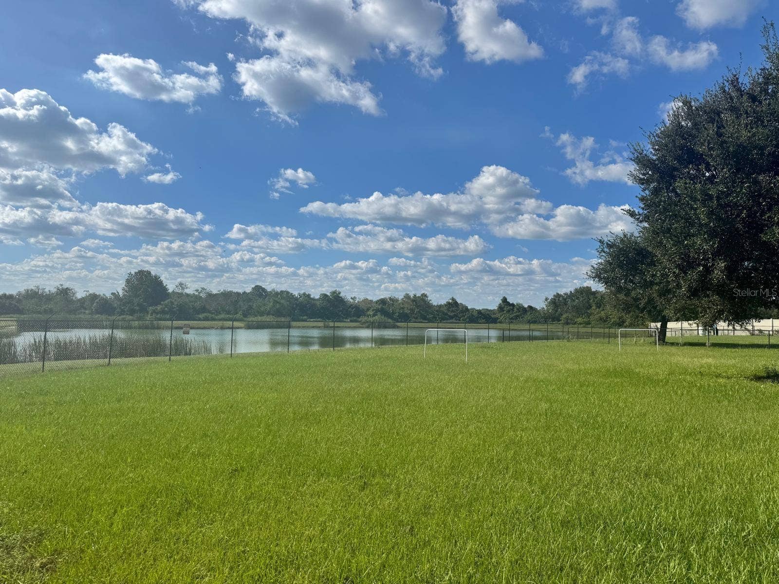 5223 PANCHO VILLA LANE, Plant City, FL 33566 Back yard view