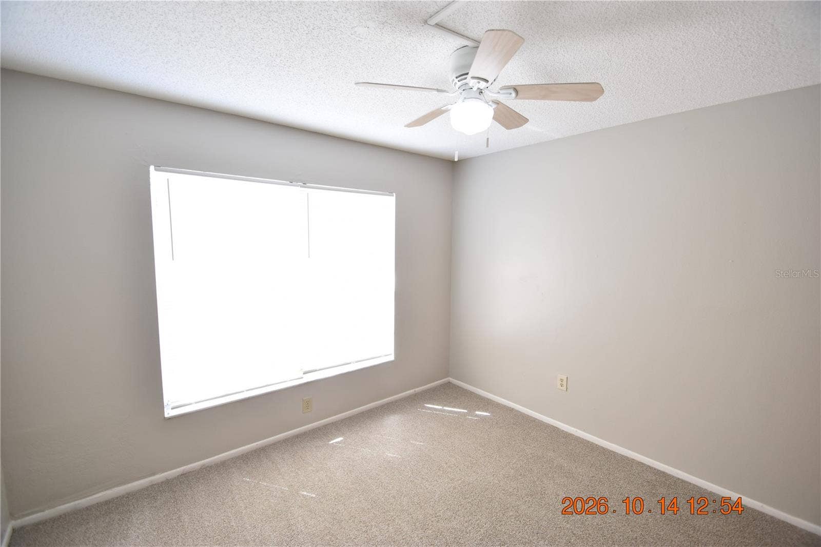 1705 PAINT BRANCH WAY, #1705, Brandon, FL 33511 1705 PAINT BRANCH WAY, #1705, Brandon, FL 33511
