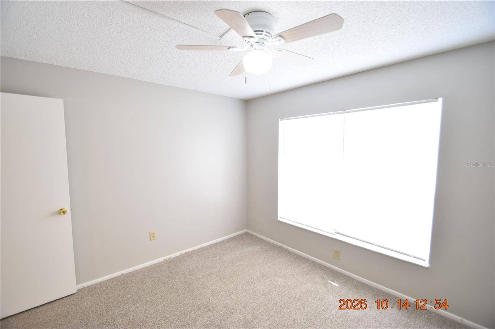 1705 PAINT BRANCH WAY, #1705, Brandon, FL 33511 1705 PAINT BRANCH WAY, #1705, Brandon, FL 33511