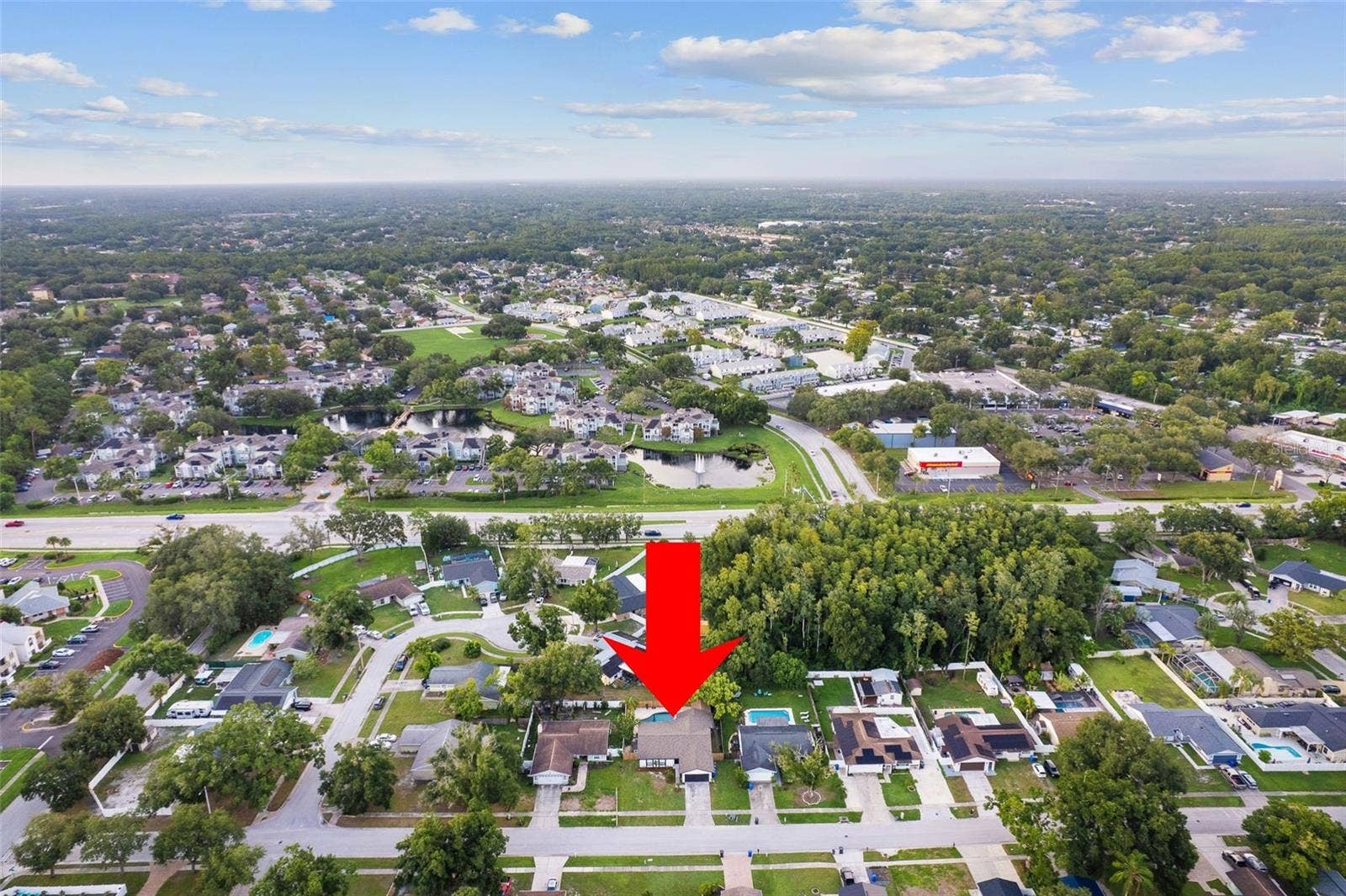 5308 BLACK PINE DRIVE, Tampa, FL 33624 5308 BLACK PINE DRIVE, Tampa, FL 33624