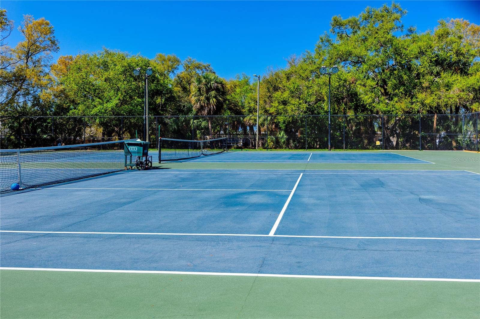 4229 LA PALMA COURT, Tampa, FL 33611 Work up some sweat at the tennis courts!