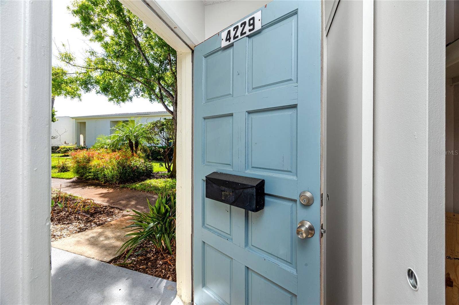 4229 LA PALMA COURT, Tampa, FL 33611 Welcome home!