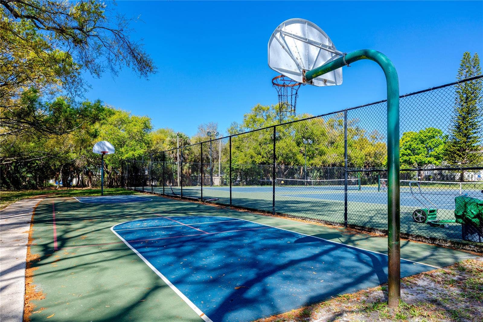 4229 LA PALMA COURT, Tampa, FL 33611 Basketball anyone?