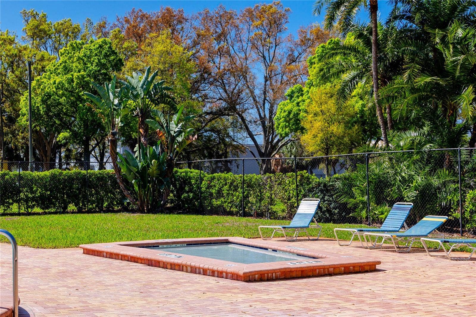 4229 LA PALMA COURT, Tampa, FL 33611 Spa time!