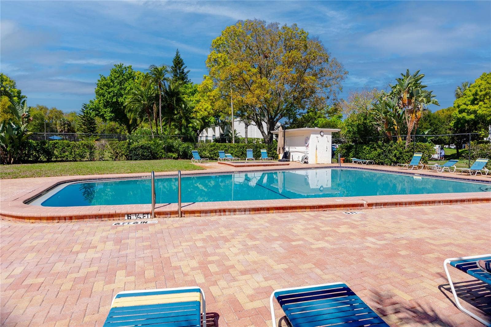4229 LA PALMA COURT, Tampa, FL 33611 Large pool with paver deck.