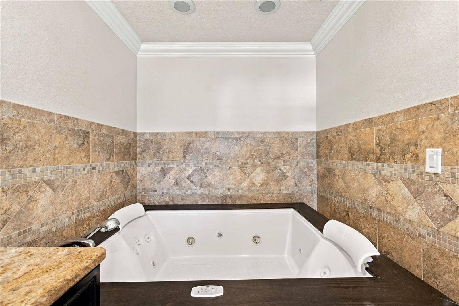 13087 LITTLE FARMS DRIVE, Spring Hill, FL 34609 Primary Bathroom Hot Tub