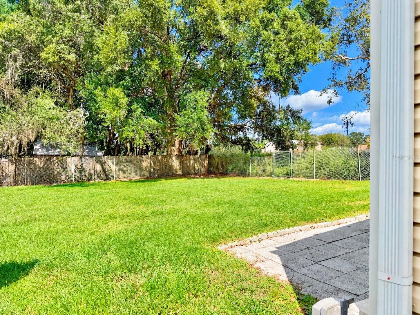 37631 CAMPO AVENUE, Zephyrhills, FL 33541 No Backyard Neighbors