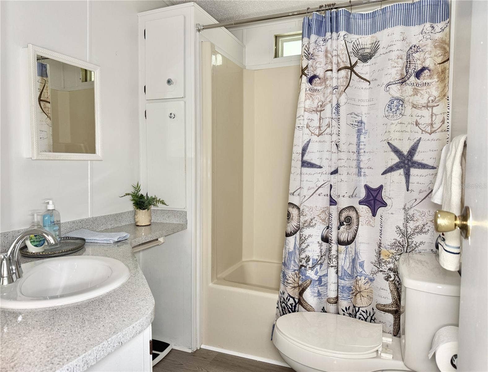 37631 CAMPO AVENUE, Zephyrhills, FL 33541 Guest Bath