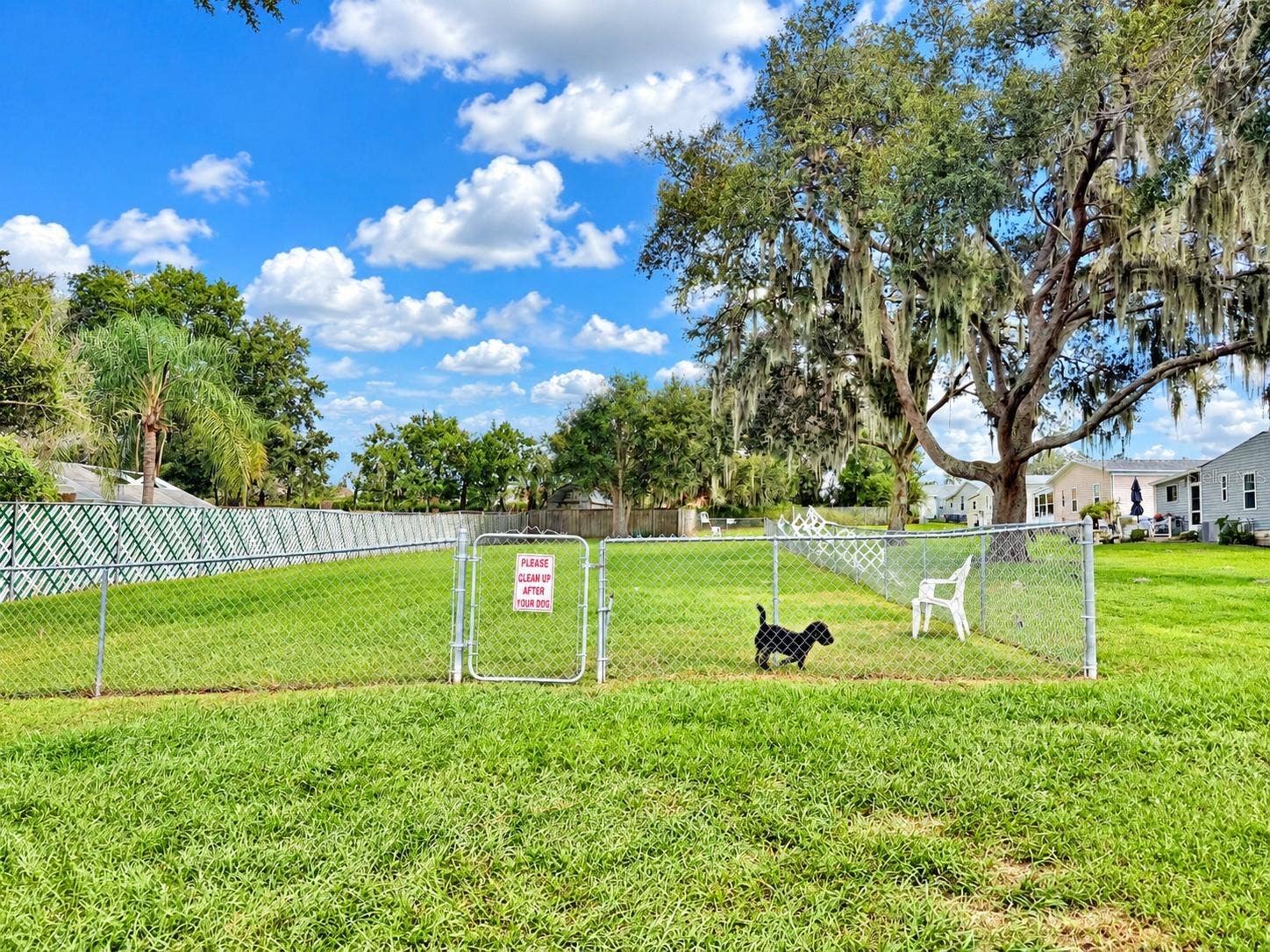 37631 CAMPO AVENUE, Zephyrhills, FL 33541 Community Dog Park