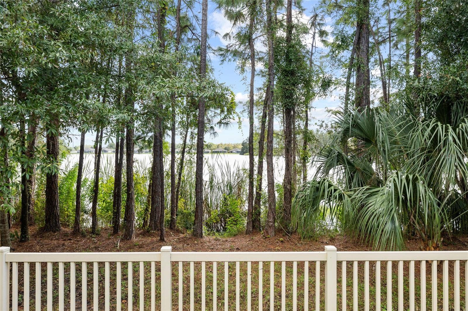 11424 CROWNED SPARROW LANE, Tampa, FL 33626 11424 CROWNED SPARROW LANE, Tampa, FL 33626
