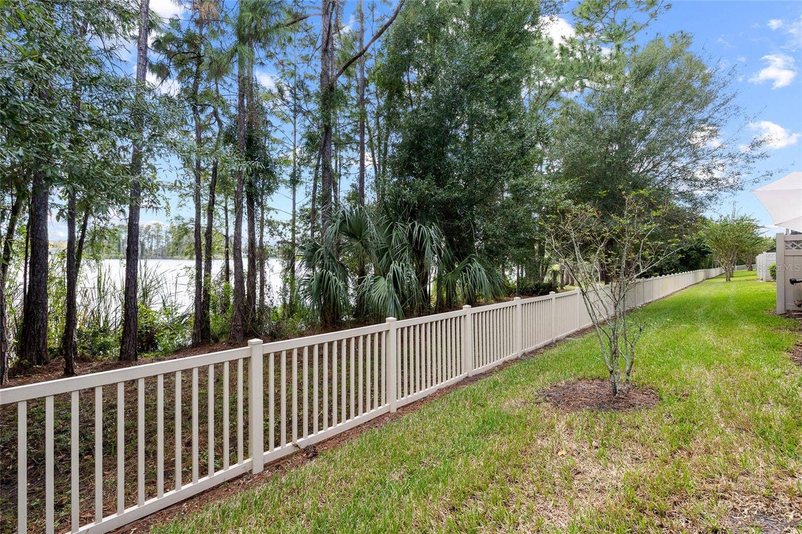 11424 CROWNED SPARROW LANE, Tampa, FL 33626 11424 CROWNED SPARROW LANE, Tampa, FL 33626