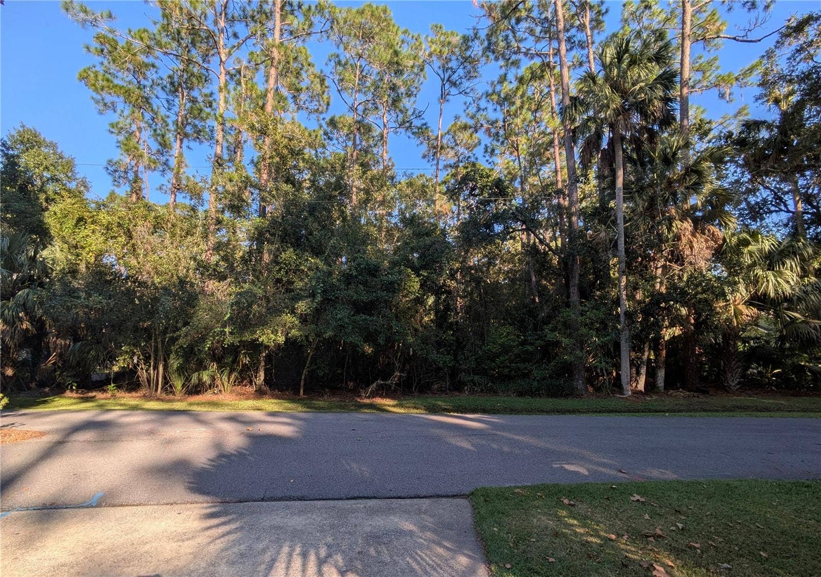 366 OLD MILL ROAD, Enterprise, FL 32725 366 OLD MILL ROAD, Enterprise, FL 32725